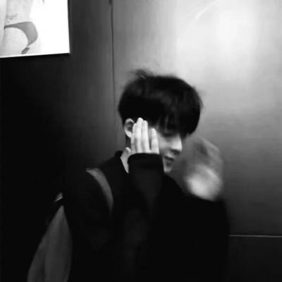 Furry数字绘画入门指南福瑞群